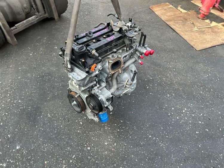 Двигатель Хонда Степвагон в Геленджике 241069