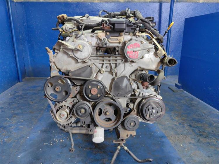 Двигатель Ниссан Эльгранд в Геленджике 437558