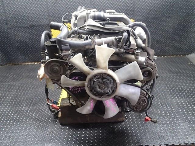 Двигатель Ниссан Сафари в Геленджике 95493